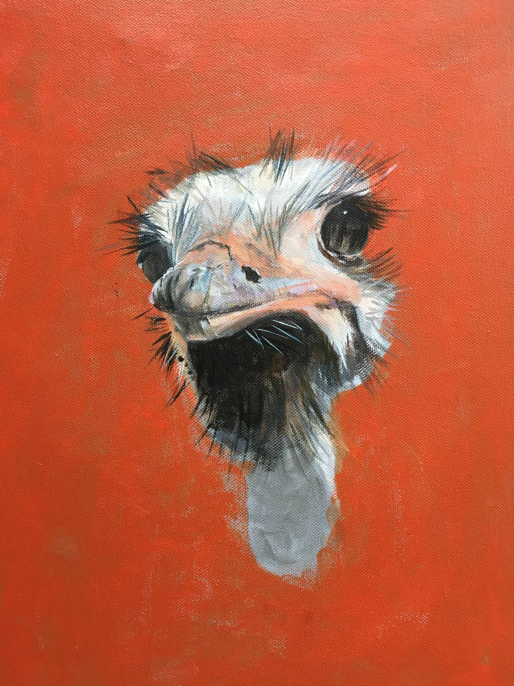 2017 | Struisvogel | 30 x 40 cm | acryl- en olieverf