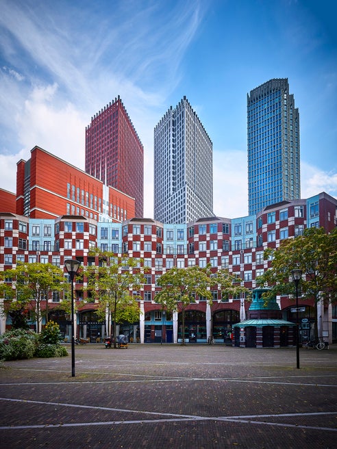 THE HAGUE FOR SELF-PROMOTION